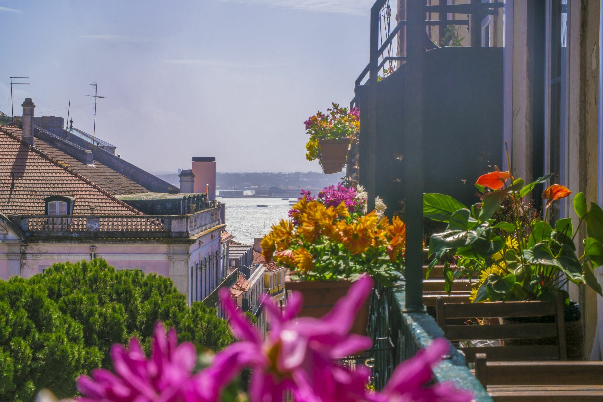 Casinha Das Flores Lizbona Zewnętrze zdjęcie